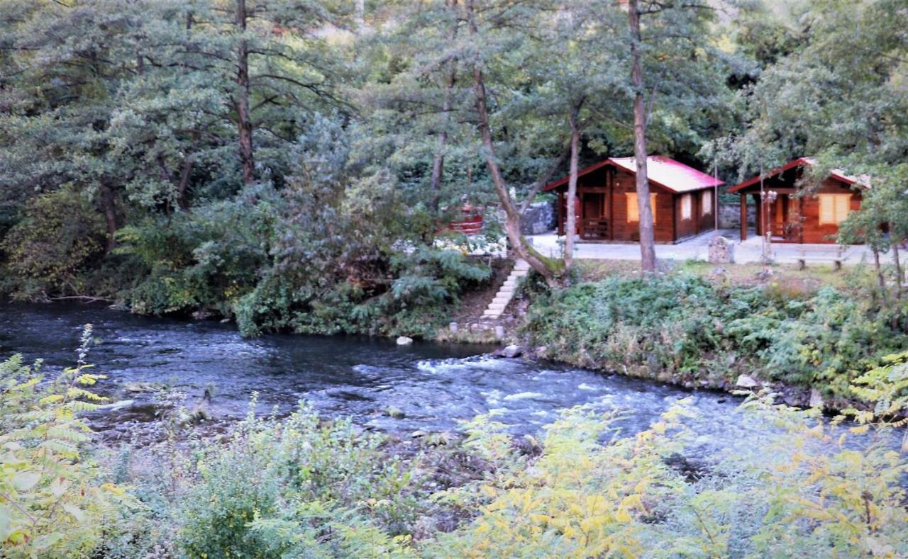 Eden Natural Resort - Transalpina Capalna Exterior foto