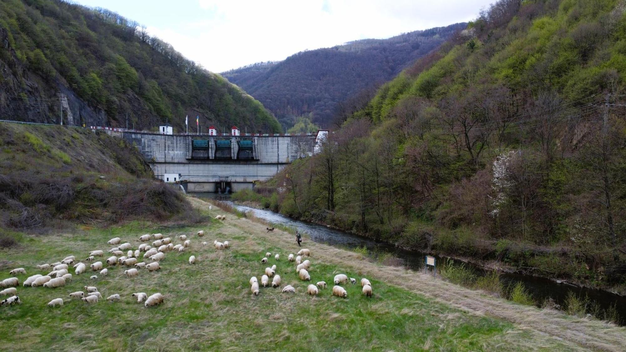 Eden Natural Resort - Transalpina Capalna Exterior foto